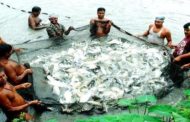 Paradigm shift in fisheries enhancement from inland open waters