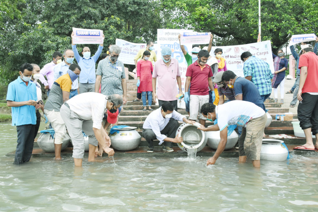 Dolphin awareness programme