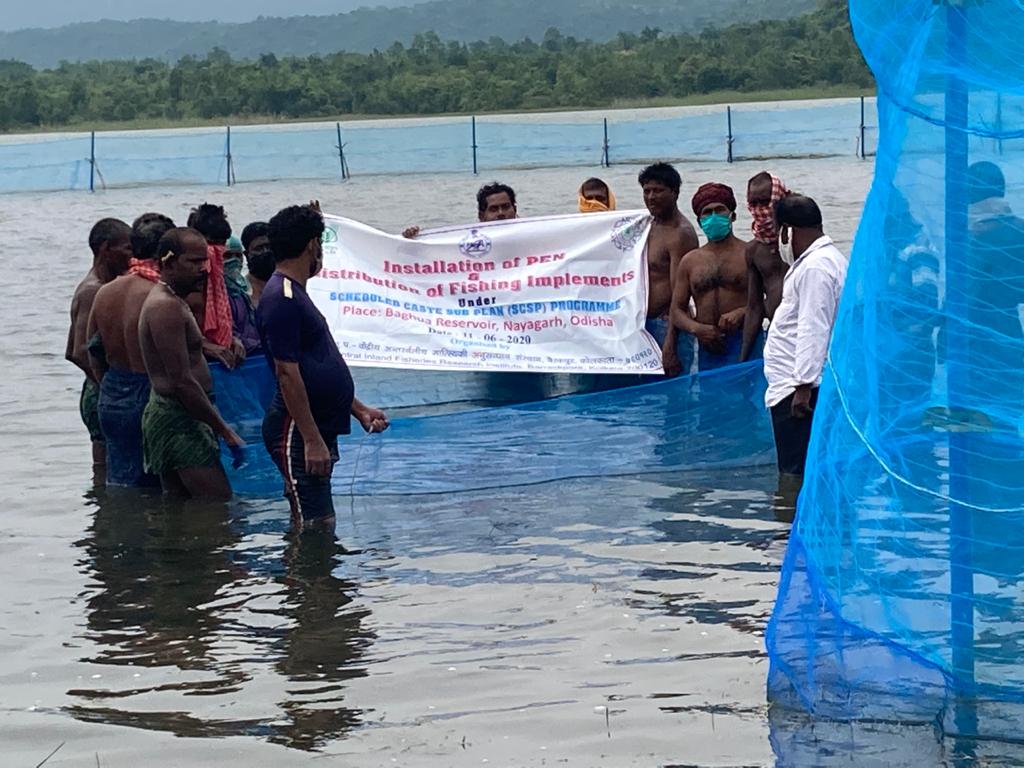 CIFRI adopts Baghua reservoir for fish culture during Covid period