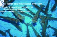 SIS witnesses better shrimp broodstock sales in India in June quarter amid lockdown