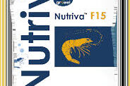Infection resistant nutrient for farm species