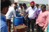 Shrimp farming in Punjab and the future
