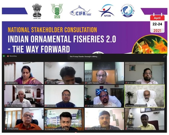 Three days national virtual consultation on ‘Indian Ornamental Fisheries 2.0’ held