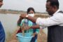 Hilsa travels 225 kms in Ganges, loses 34 gram; ICAR study