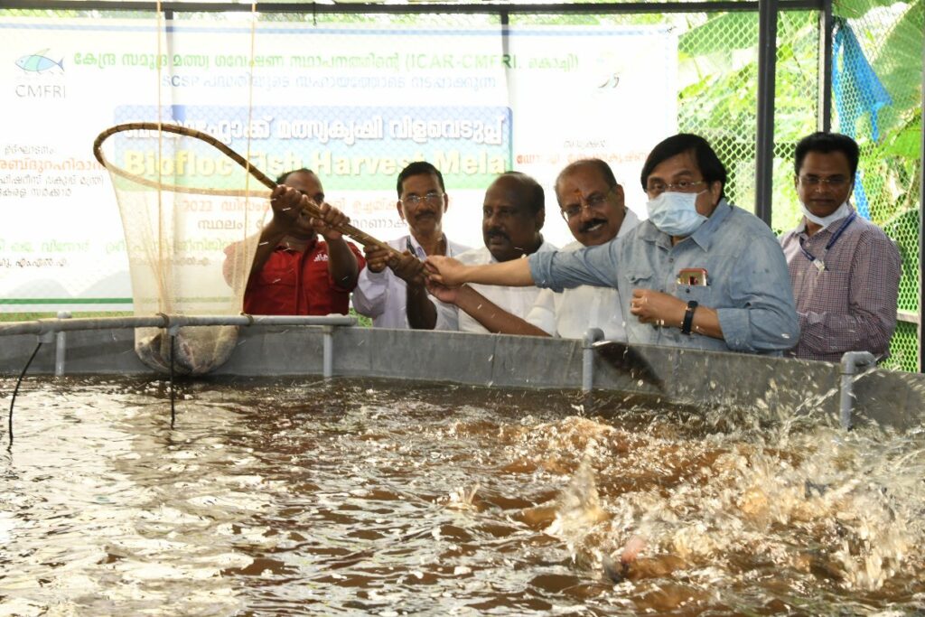 Scheduled caste families reap bumper harvest from biofloc fish farming