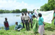 CMFRI launches mangrove plantation drive to protect coastal ecosystems