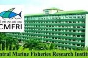 In a first, CMFRI to launch Fish Walk in Kochi