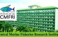 In a first, CMFRI to launch Fish Walk in Kochi