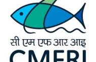 CMFRI to conduct short course on fish taxonomy