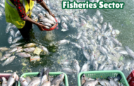 Budget Highlights: Fisheries Sectors