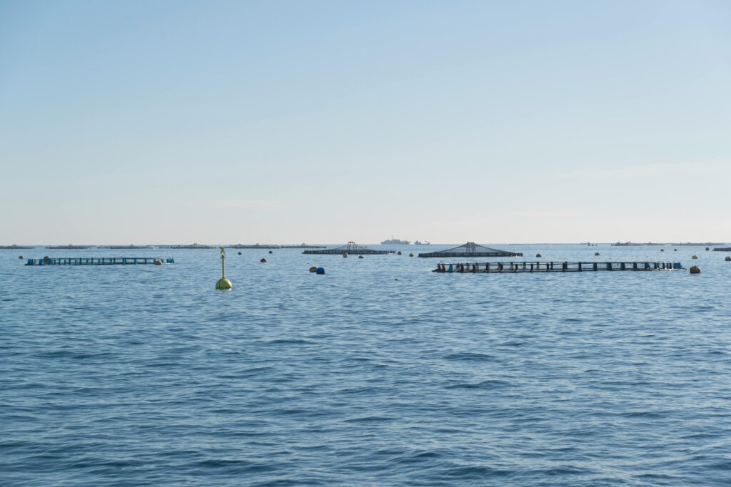 fish farming