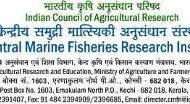 Marine Fisheries Census 2025: Nationwide marine fishing village validation launched